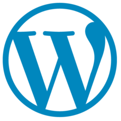 WordPress - Skill de front end